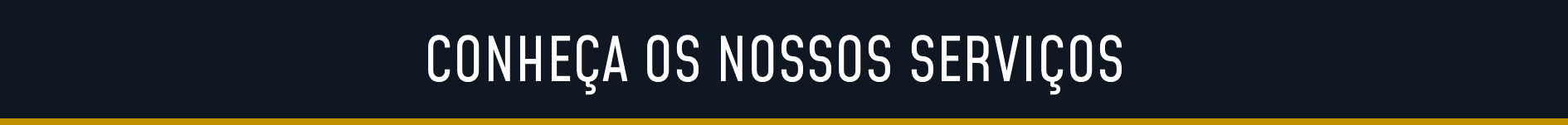 LUX Premium Táxi & Executivo Belo Horizonte.. (17).png