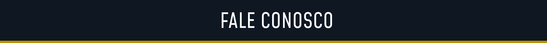 LUX Premium Táxi & Executivo Belo Horizonte.. (28).png