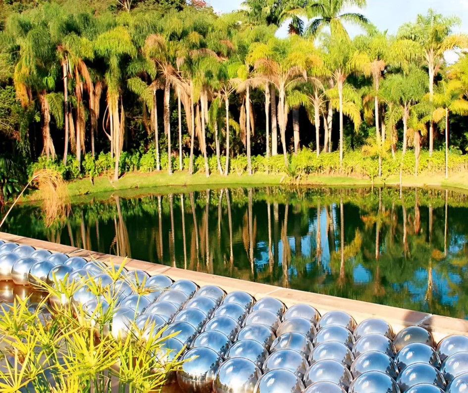 LUX Premium Táxi & Executivo Belo Horizonte (10).JPG