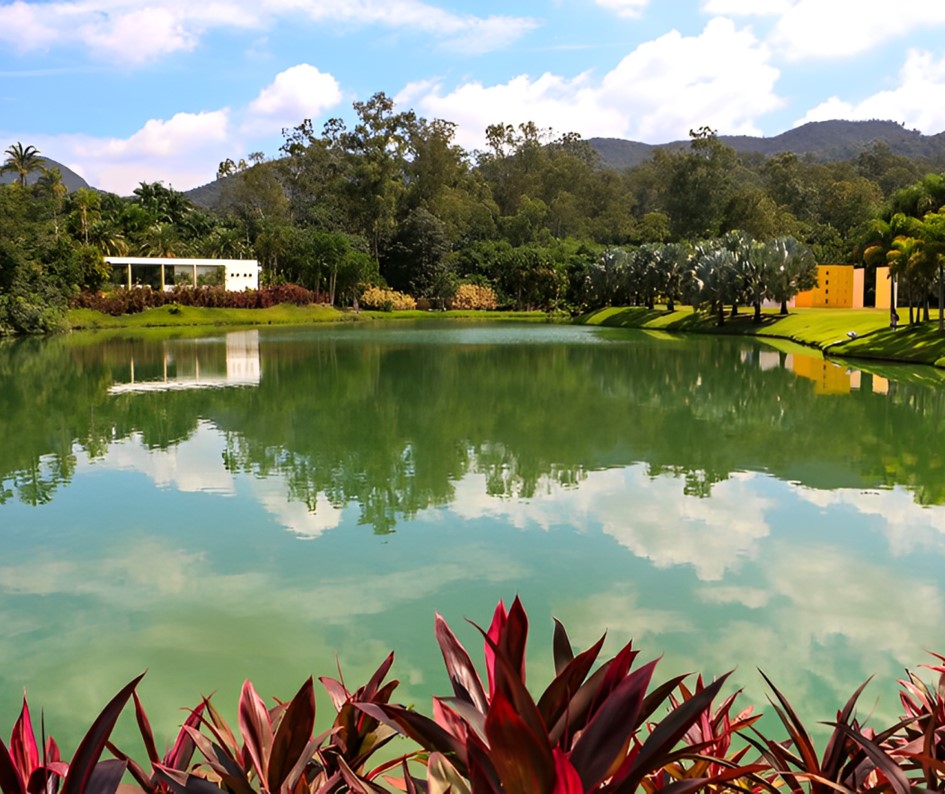 LUX Premium Táxi & Executivo Belo Horizonte (11).JPG